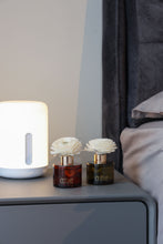 將圖片載入圖庫檢視器 Energy boost